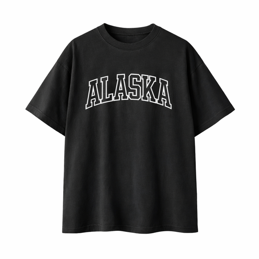Collection 1 Alaska Essential Cotton T-Shirt - Black front