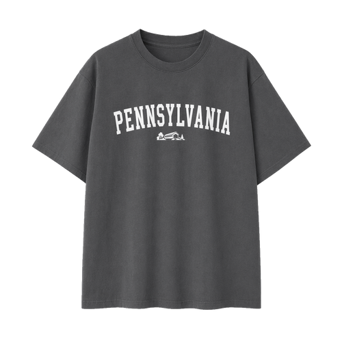 Collection 9 Pennsylvania Essential Cotton T-Shirt - Dark Gray front
