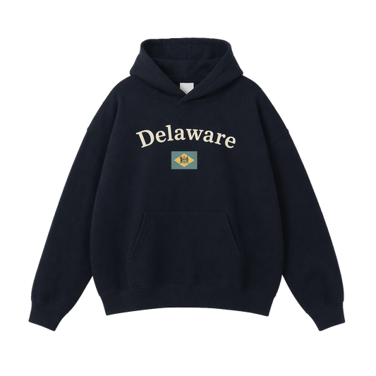 Collection 6 Delaware Oversize Fleeced Hoodie - Black front