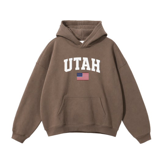 Collection 2 Utah Oversize Fleeced Hoodie - Brown front