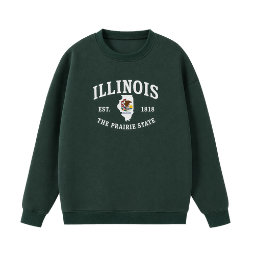 Collection 8 Illinois Essential Heavyweight Crewneck Sweatshirt - Dark Green front