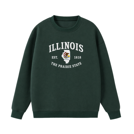 Collection 8 Illinois Essential Heavyweight Crewneck Sweatshirt - Dark Green front