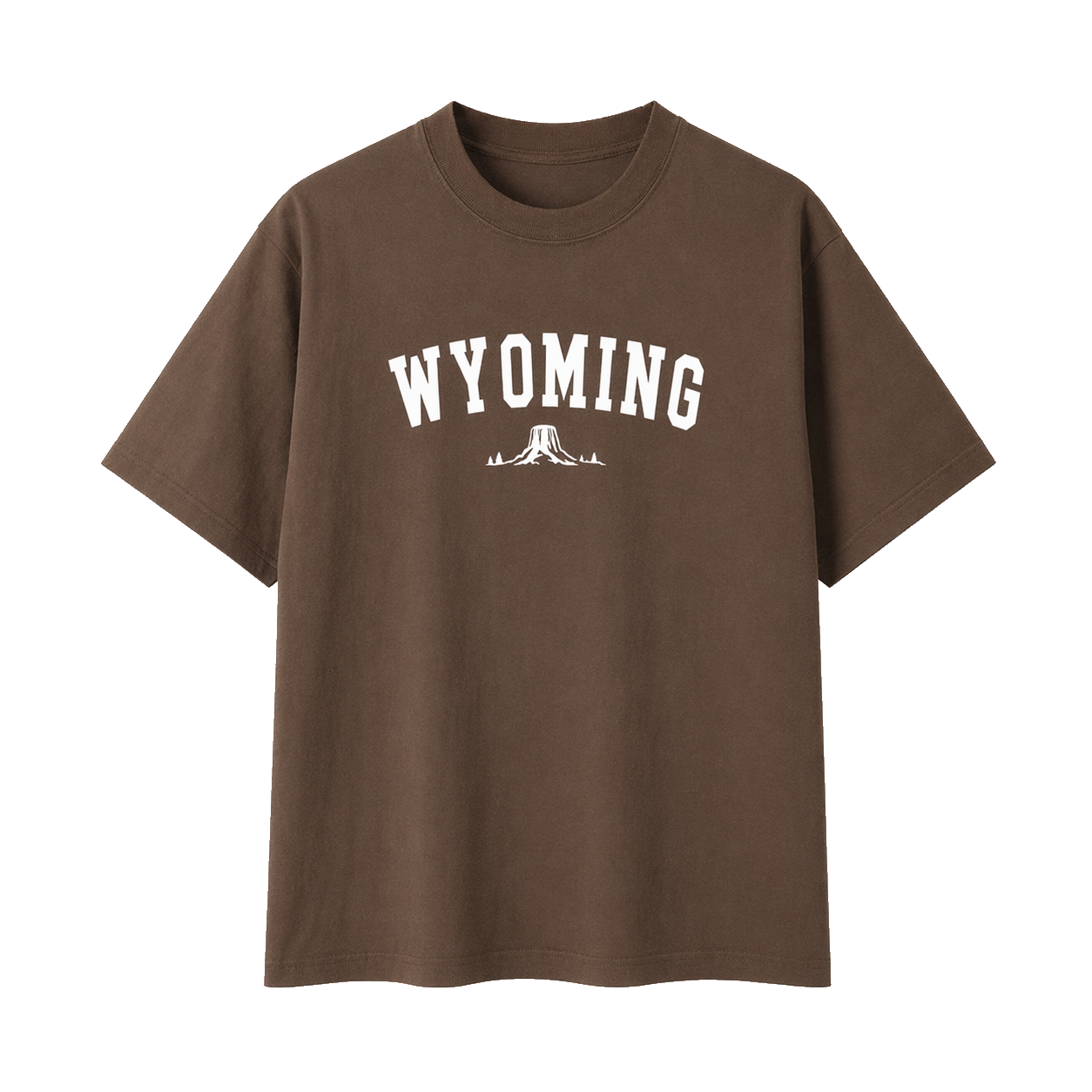 Collection 9 Wyoming Essential Cotton T-Shirt - Coffee front