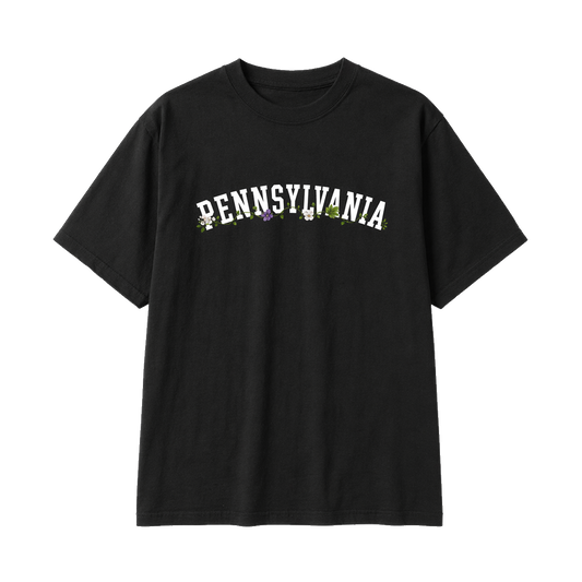 Collection 10 Pennsylvania Essential Cotton T-Shirt - Black front