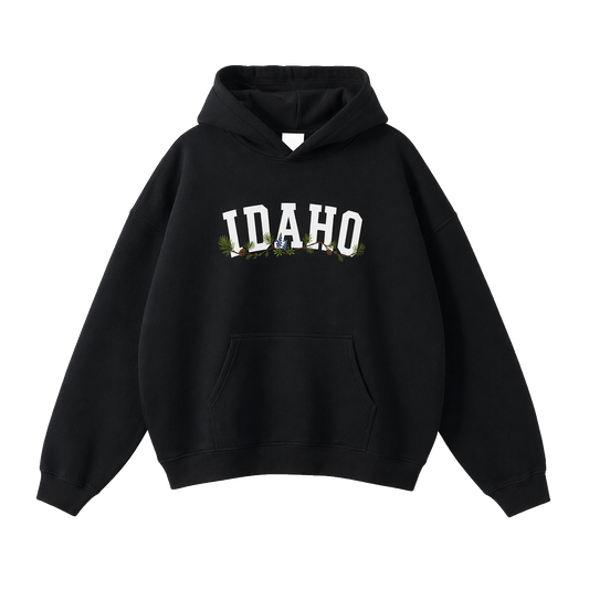 Collection 10 Idaho Oversize Fleeced Hoodie - Black front