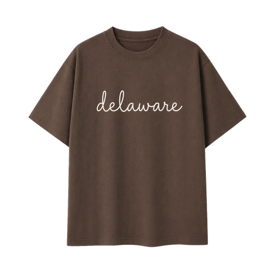 Collection 3 Delaware Essential Cotton T-Shirt - Coffee front