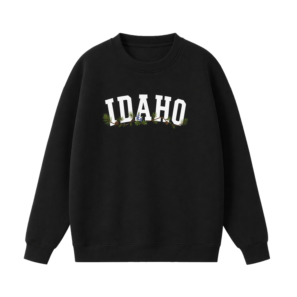 Collection 10 Idaho Essential Heavyweight Crewneck Sweatshirt - Black front