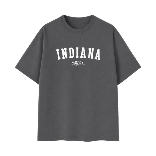 Collection 9 Indiana Essential Cotton T-Shirt - Dark Gray front