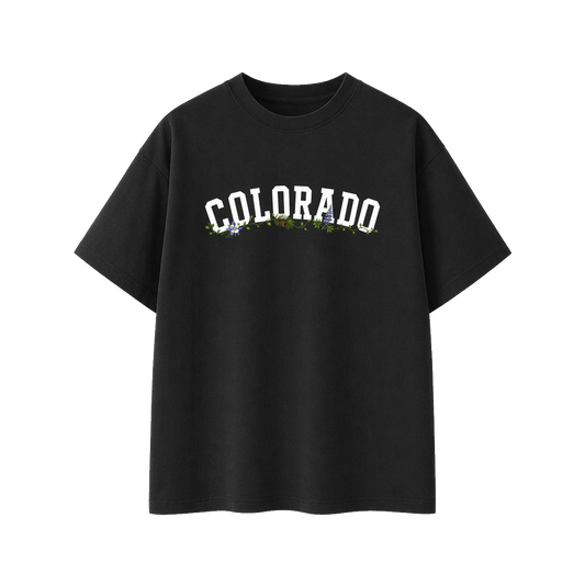 Collection 10 Colorado Essential Cotton T-Shirt - Black front