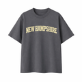 Collection 1 New Hampshire Essential Cotton T-Shirt - Dark Gray front