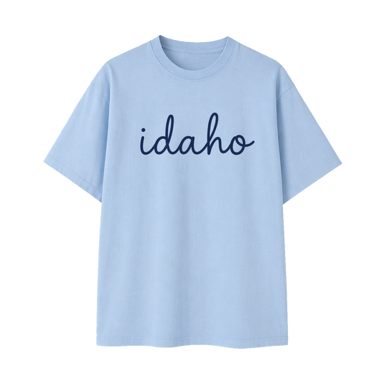 Collection 3 Idaho Essential Cotton T-Shirt - Light Blue front