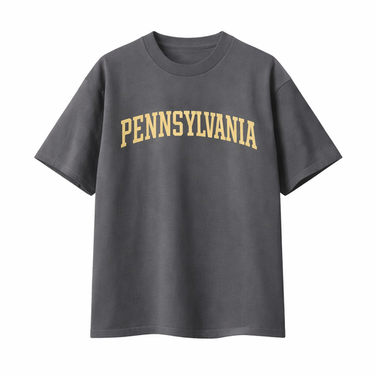 Collection 1 Pennsylvania Essential Cotton T-Shirt - Dark Gray front
