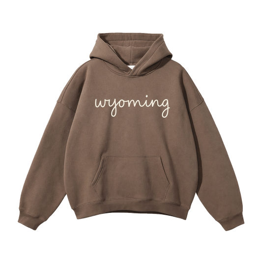 Collection 3 Wyoming Oversize Fleeced Hoodie - Brown front