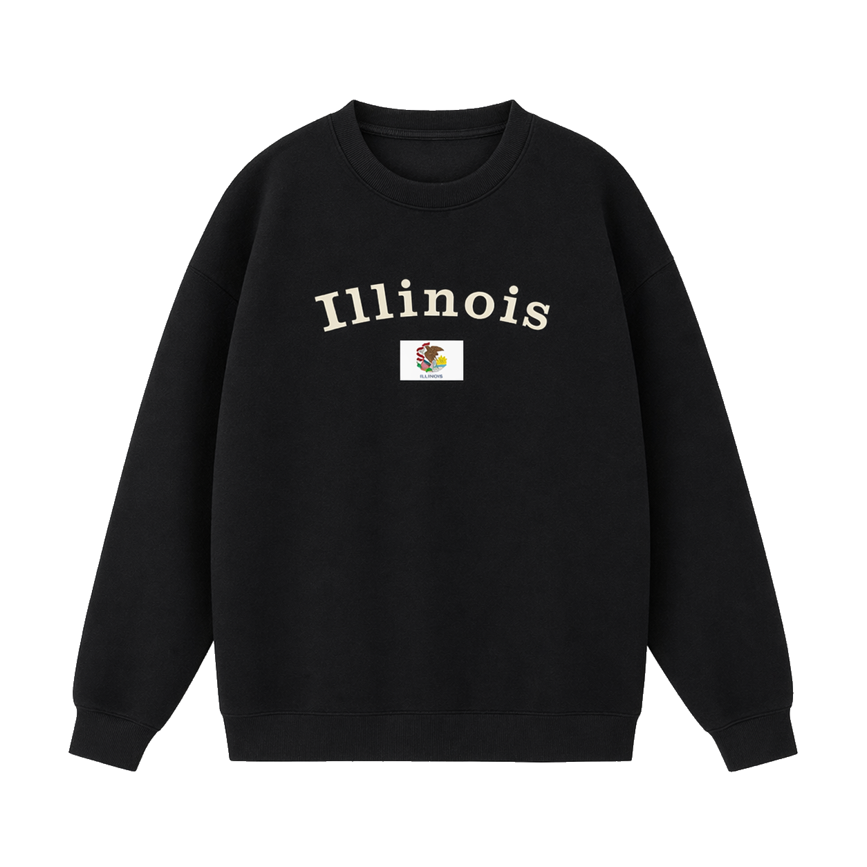 Collection 6 Illinois Essential Heavyweight Crewneck Sweatshirt - Black front