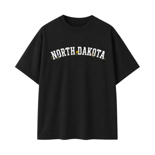 Collection 10 North Dakota Essential Cotton T-Shirt - Black front
