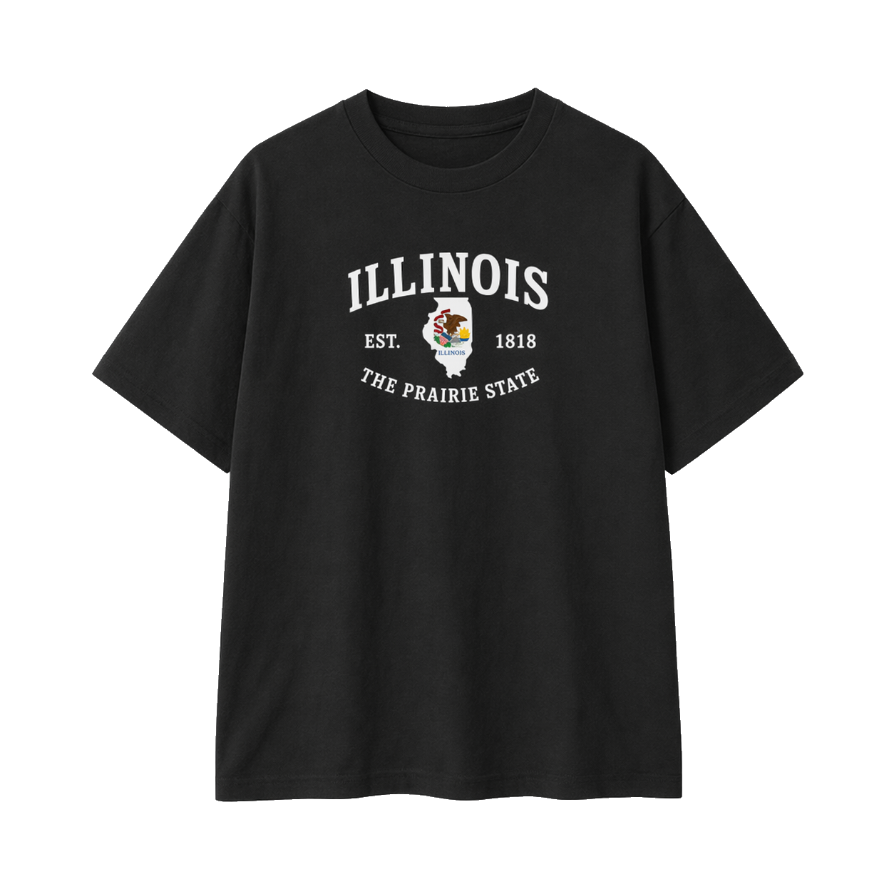 Collection 8 Illinois Essential Cotton T-Shirt - Black front