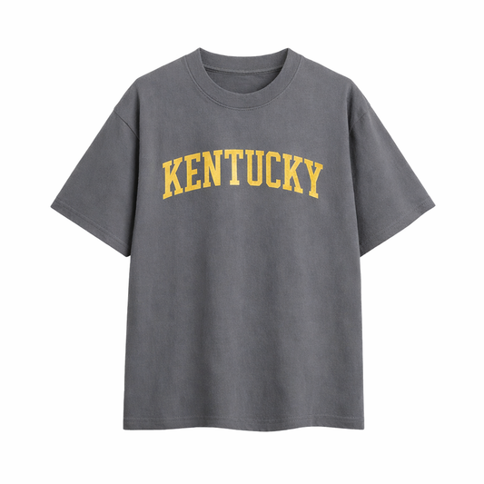 Collection 1 Kentucky Essential Cotton T-Shirt - Dark Gray front