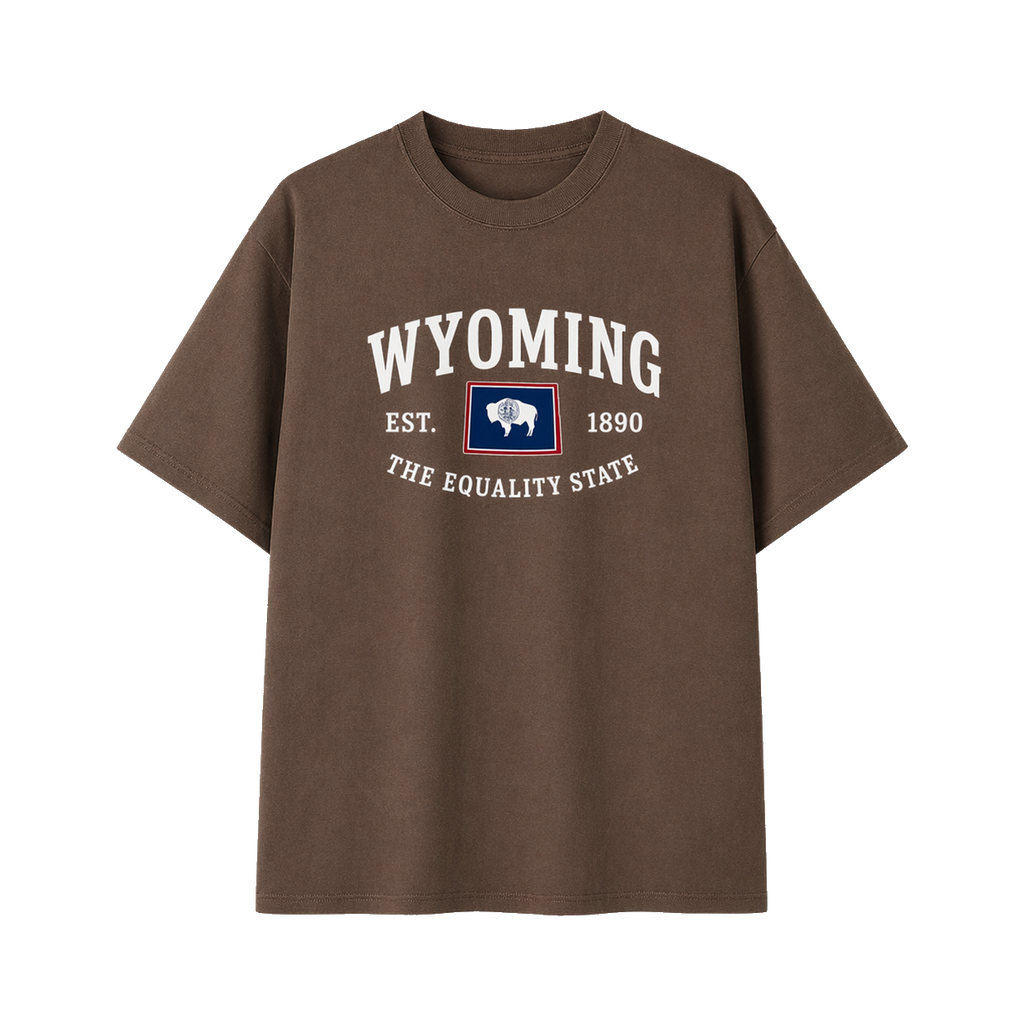 Collection 8 Wyoming Essential Cotton T-Shirt - Coffee front