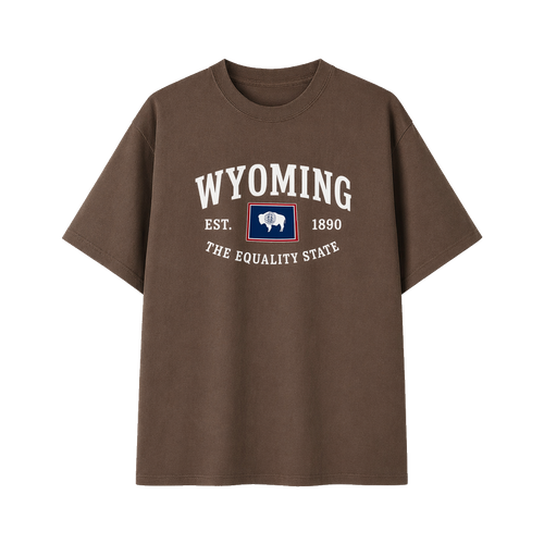 Collection 8 Wyoming Essential Cotton T-Shirt - Coffee front