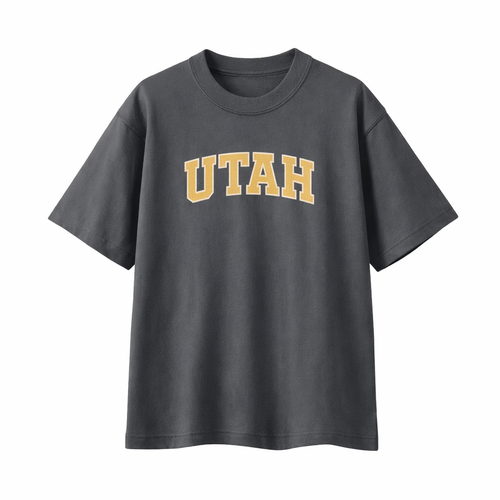 Collection 1 Utah Essential Cotton T-Shirt - Dark Gray front