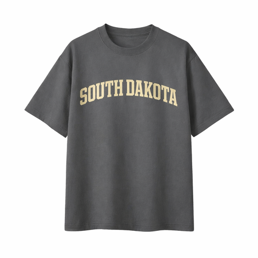 Collection 1 South Dakota Essential Cotton T-Shirt - Dark Gray front