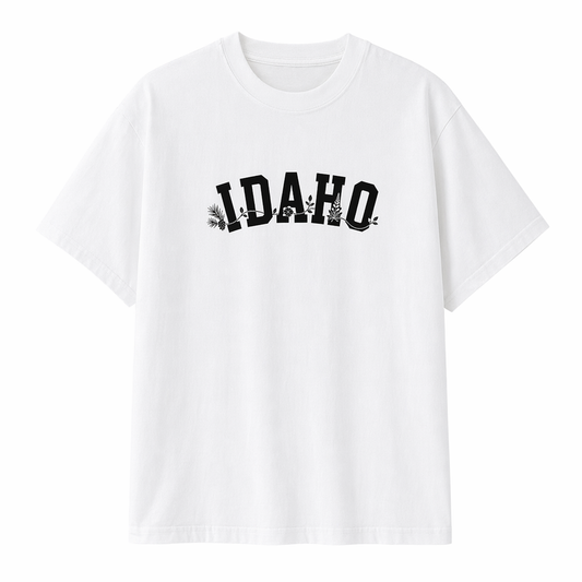 Collection 10 Idaho Essential Cotton T-Shirt - White front