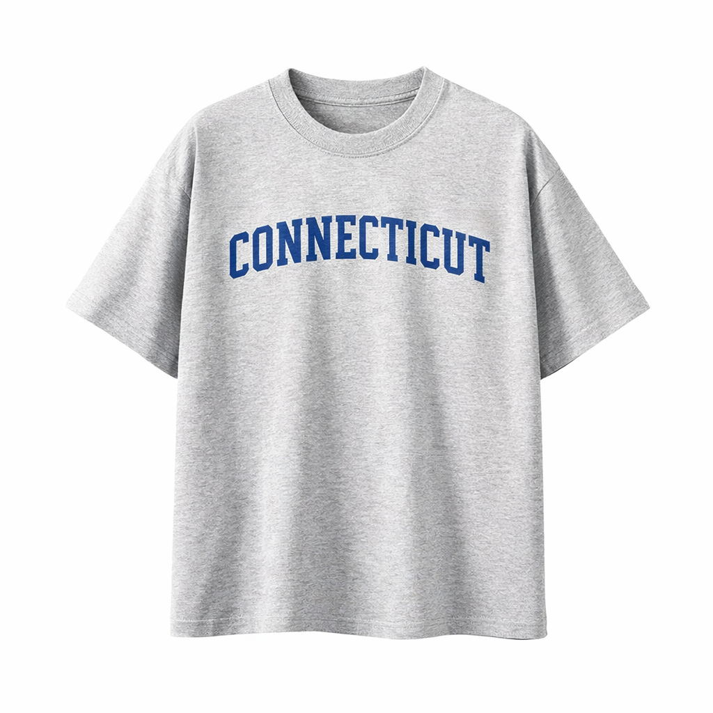 Collection 1 Connecticut Essential Cotton T-Shirt - White Gray front