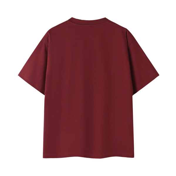 Collection 1 Alabama Essential Cotton T-Shirt - Wine Gray behind